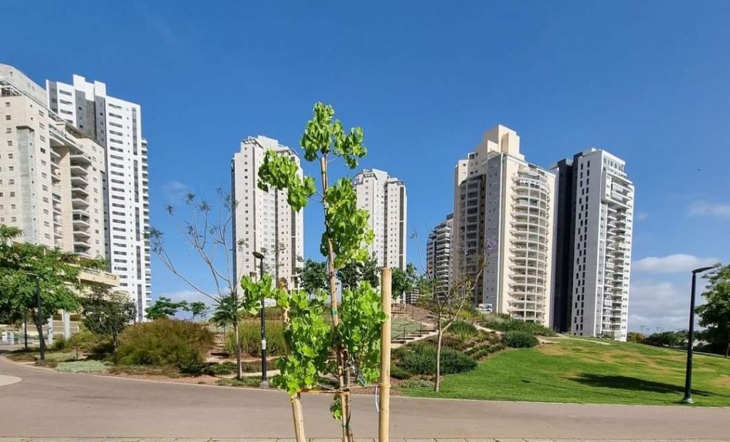 פתח תקווה עולה לגובה. צילום: דוברות עיריית פתח תקווה